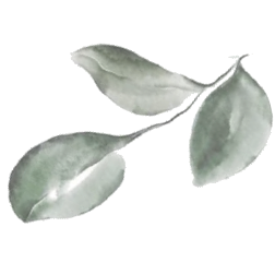 karenysalvadorevento